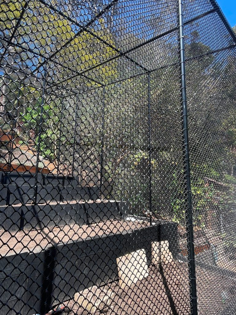 fencing project